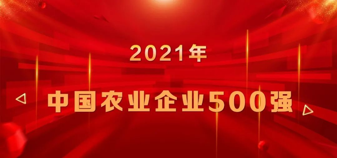 上榜|山東三星集團(tuán)再登中國農(nóng)業(yè)企業(yè)500強(qiáng)榜單